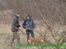 Hundetræning forår 2015